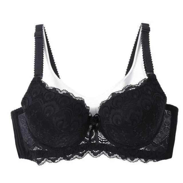 Ladies Embroidered Bra