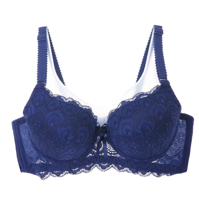 Ladies Embroidered Bra