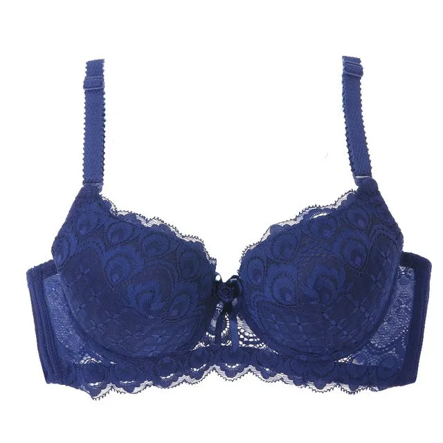 Ladies Embroidered Bra
